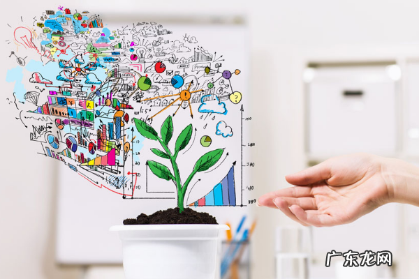 刚注册了商标多久能在拼多多使用?有哪些要求?