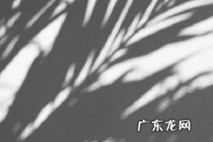 抖音开通蓝v流量真的多吗？有哪些好处？