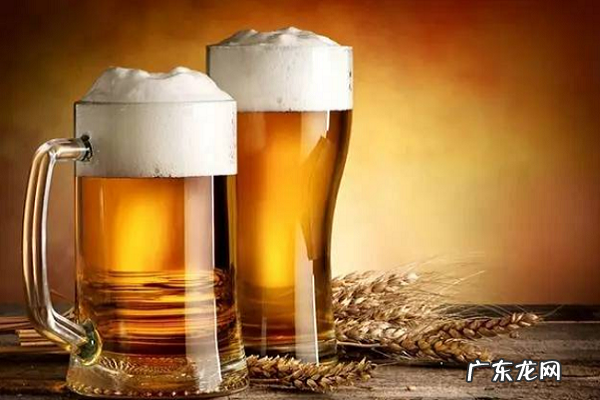 2021啤酒加盟代理排行榜 啤酒加盟哪个品牌最火爆