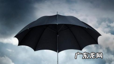 BIT 什么是保护伞协议?双方投资保护协定的基本内容有哪些?