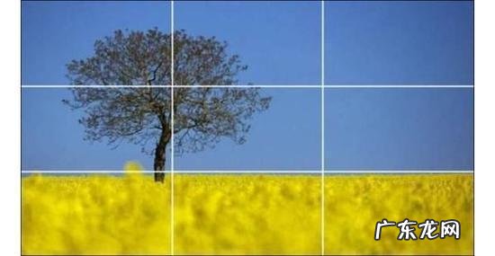 拍短视频入门基础 短视频拍摄技巧有哪些