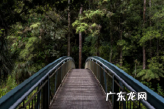 投放抖加的技巧有哪些？如何投放？