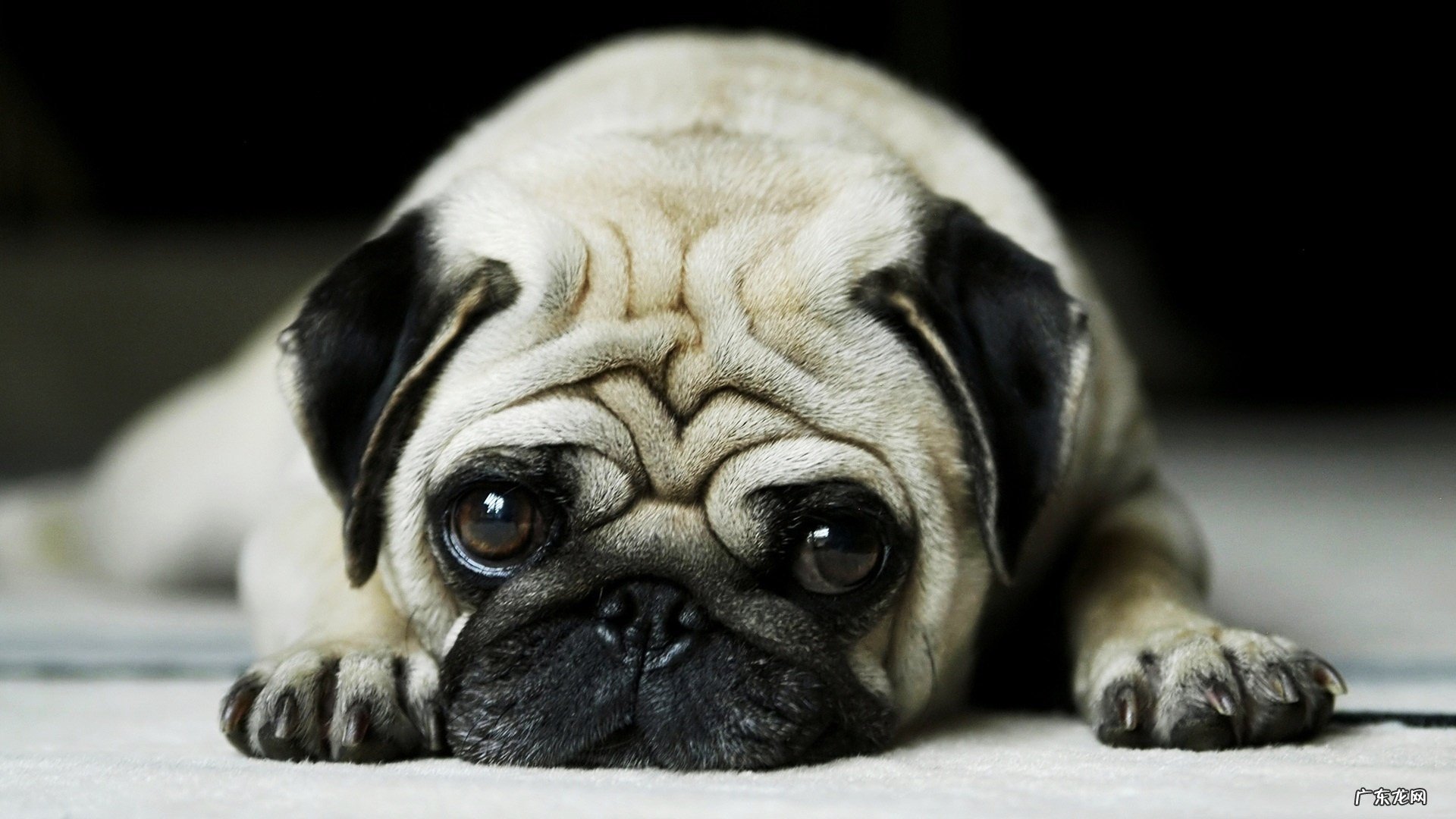 我体重160,肚子有赘肉在健身房练什么器械可以减肚子?