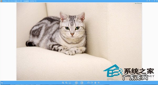 ABC看图怎么转word 让Win8看图总呈现最大化的方法