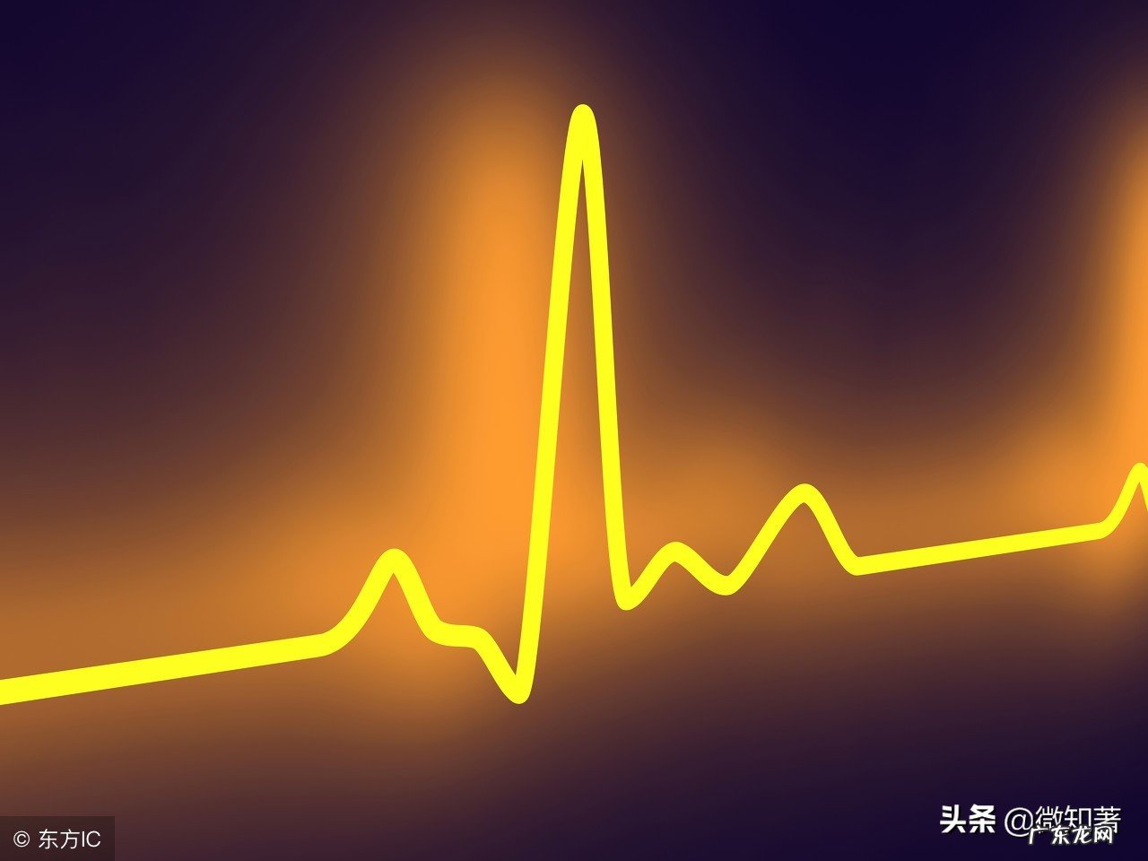 价值规律的作用有哪些？价值规律的表现形式是什么？