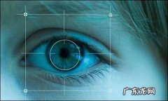 虹膜识别技术的优缺点 虹膜识别技术的原理是什么