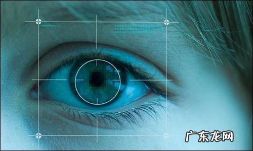 虹膜识别技术的优缺点 虹膜识别技术的原理是什么