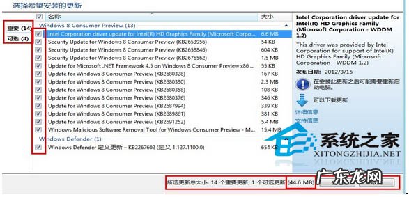windows补丁更新如何查看 Windows8如何自定义更新部分补丁