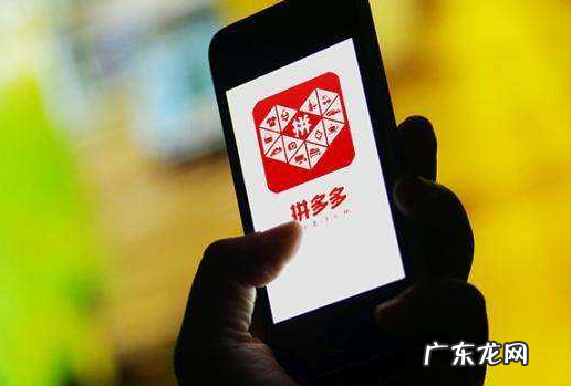 拼多多商品编码是什么 拼多多店铺编号和id一样吗