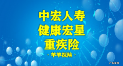 中宏保险怎么样？值得买吗？