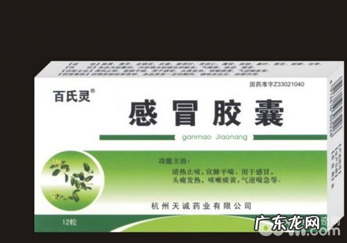 不必随意给小狗喂止疼药