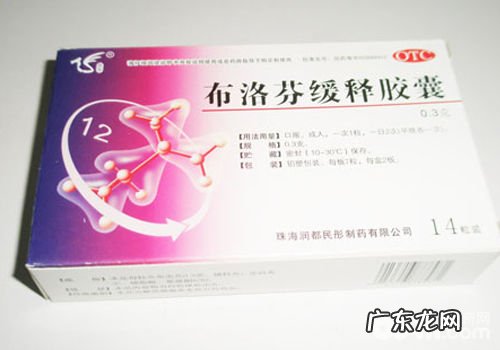 不必随意给小狗喂止疼药