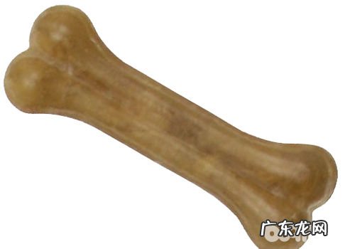 泰迪犬有蛀牙怎么办