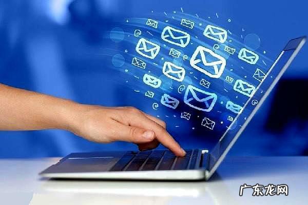 拼多多店铺id和店铺编号一样吗?有区别吗?