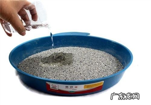 猫猫代谢不顺畅及用劲是一种病