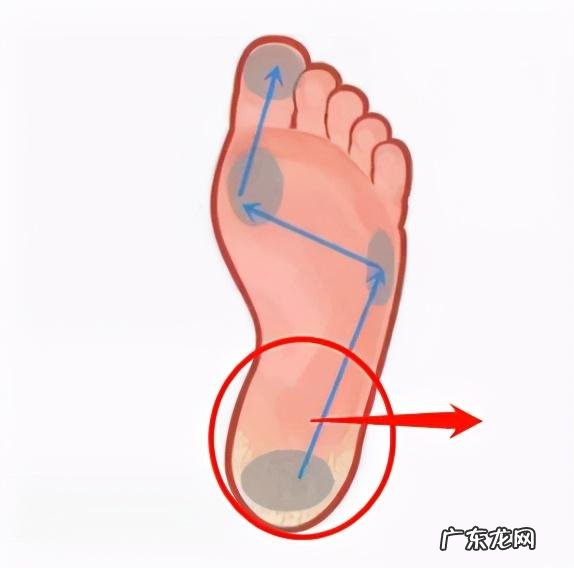 杠铃划船腰撑不住怎么办?