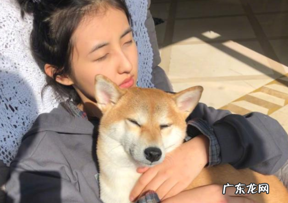 张子枫从100斤瘦到88斤的减肥秘诀是什么?