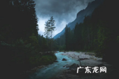 拼多多发起拼单是什么意思？规则是什么？