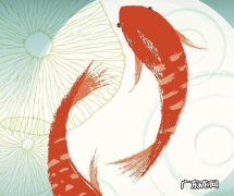 天猫618锦鲤活动怎么参加？规则是什么？