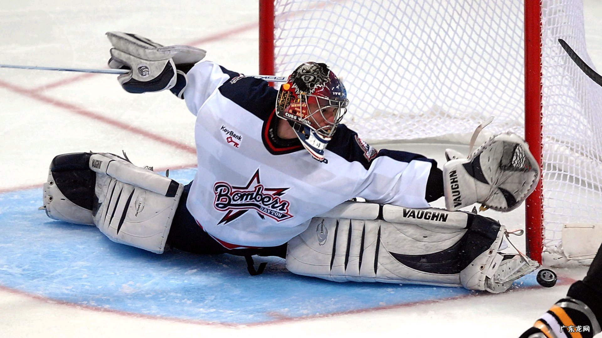 鬼步舞一共有多少个基础舞步?分别有什么?