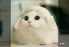 抖音小店商品图片有什么要求？规则是什么？