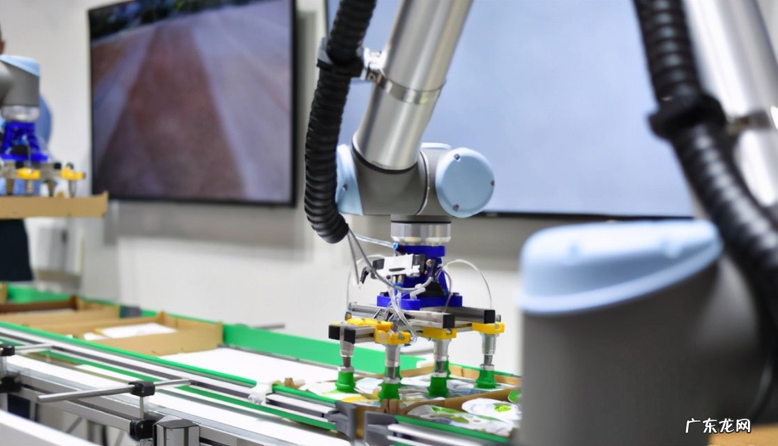 自动分拣系统有何优势?有什么特点?