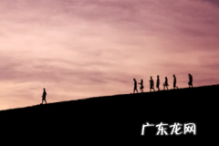 抖音卖食品需要什么手续？有哪些资质要求？