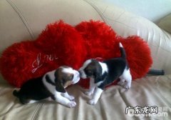 怎样预防母狗孑宫扭曲