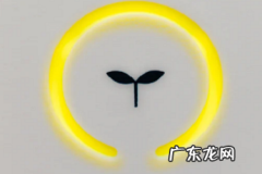 拼多多发起拼单和单独购买有什么区别？咋提升成团率？