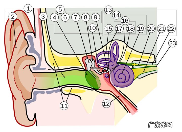 不同类型耳机对听力的影响 入耳式耳机危害有哪些