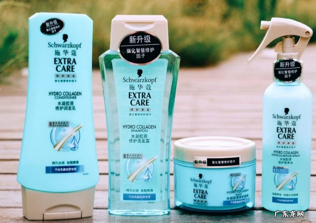 4款经典施华蔻洗发水分析 施华蔻洗发水好吗