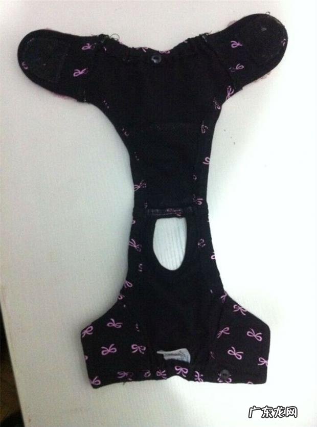 小宠物私秘之繁殖期