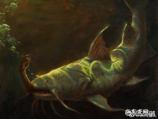 鲶鱼最大可以长到多大?能吃下的最大食物是什么?