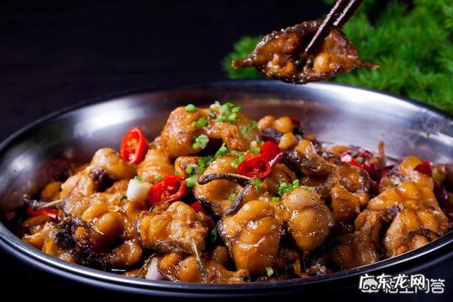 鲶鱼最大可以长到多大?能吃下的最大食物是什么?