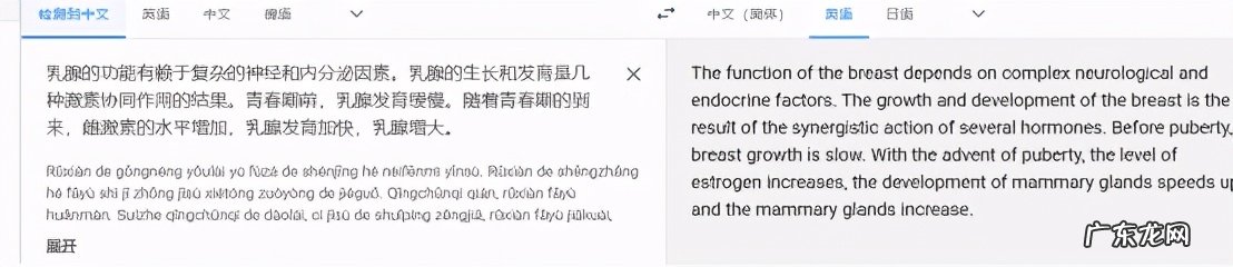 翻译软件哪个好用 翻译软件推荐