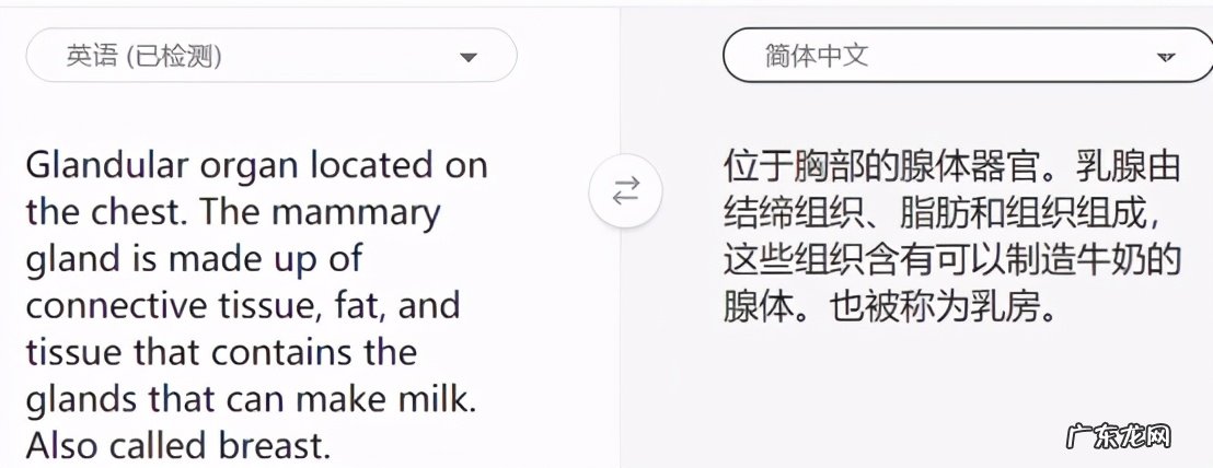 翻译软件哪个好用 翻译软件推荐