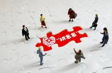 拼多多店铺不能登录怎么办？如何解决问题？