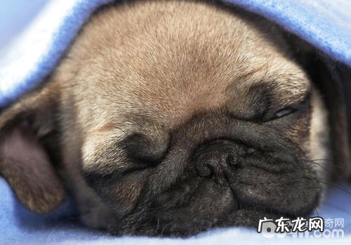 抗生素药物要谨慎使用