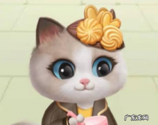 618淘宝星秀猫怎么组队？如何退队？