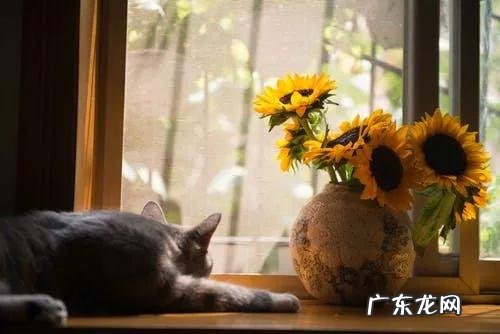 正确的睡姿是什么样的?睡姿有哪些?