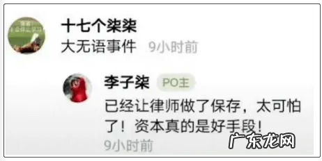 李子柒助理反驳微念:罔顾事实 颠倒黑白