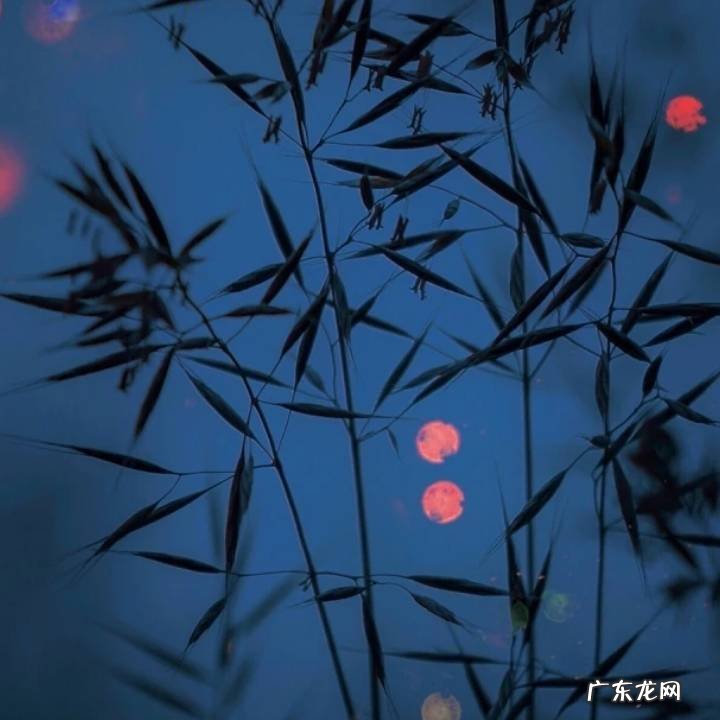 超级推荐资源位溢价出价越高越好吗?如何设置?