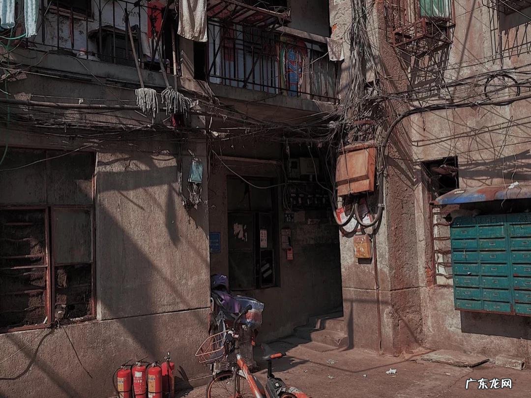 武汉花鸟市场地址 武汉花鸟市场在哪里