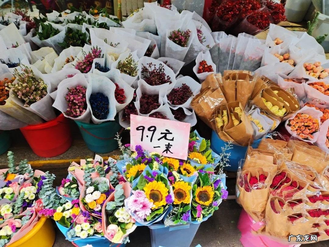 武汉花鸟市场地址 武汉花鸟市场在哪里