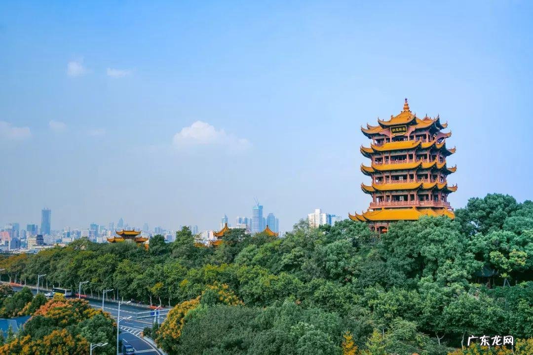 武汉花鸟市场地址 武汉花鸟市场在哪里