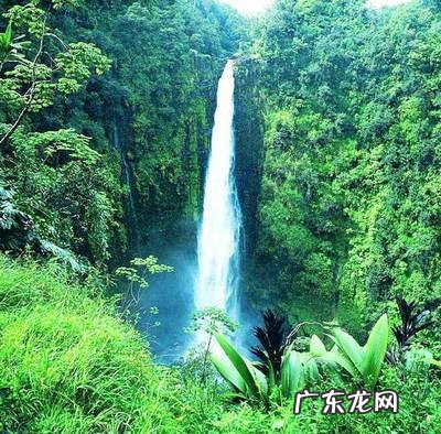 你最喜欢的古诗词是什么或者你觉得很精彩、很妙的一句诗是什么