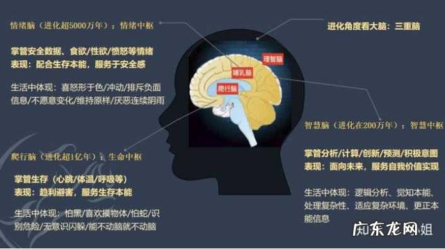 杨幂饿出来的马甲线，张钧甯为新戏瘦了十几斤，减肥又有新花样