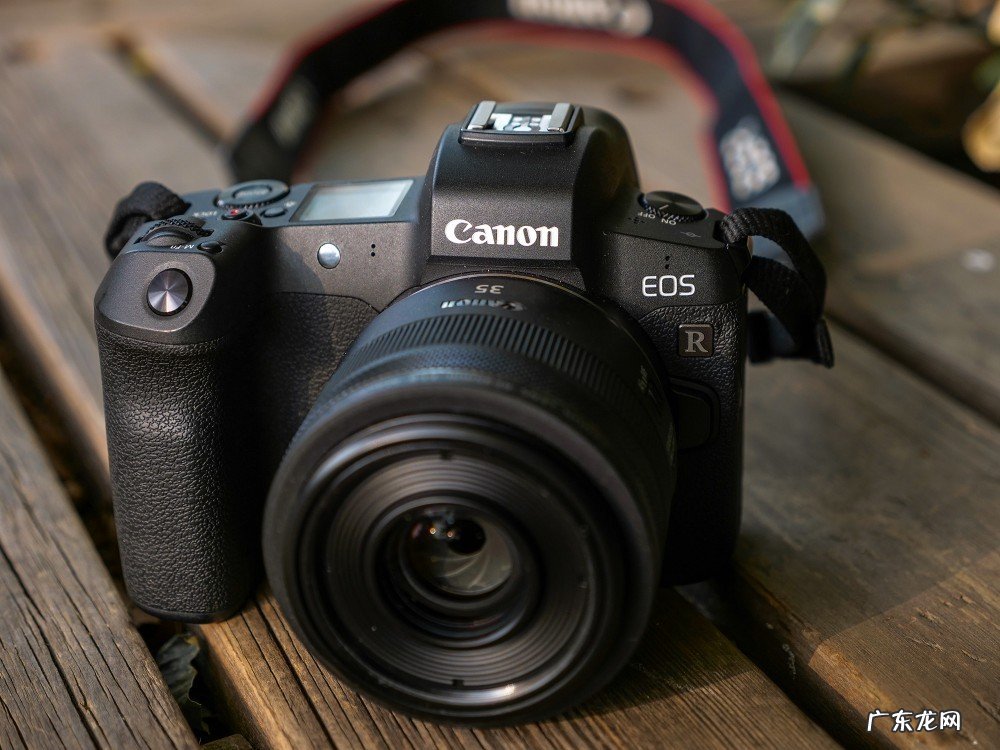 佳能和尼康单反哪个好？有什么区别？