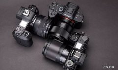 佳能和尼康单反哪个好？有什么区别？