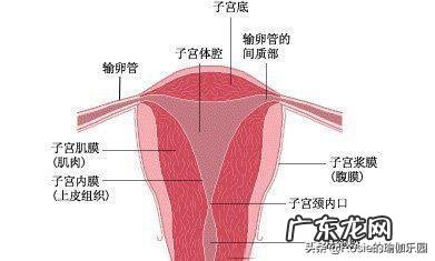 备孕期间该如何运动-备孕期间保持身材的方法
